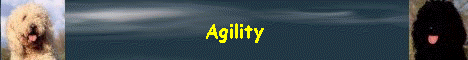 Agility