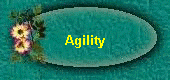 Agility