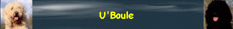 U'Boule