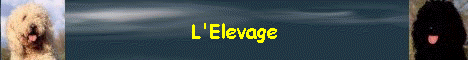 L'Elevage