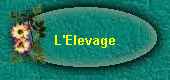 L'Elevage