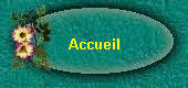 Accueil