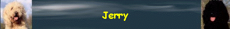 Jerry