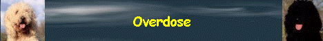 Overdose