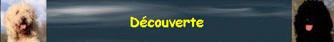 Dcouverte