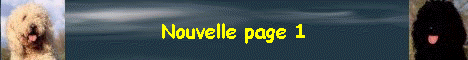 Nouvelle page 1